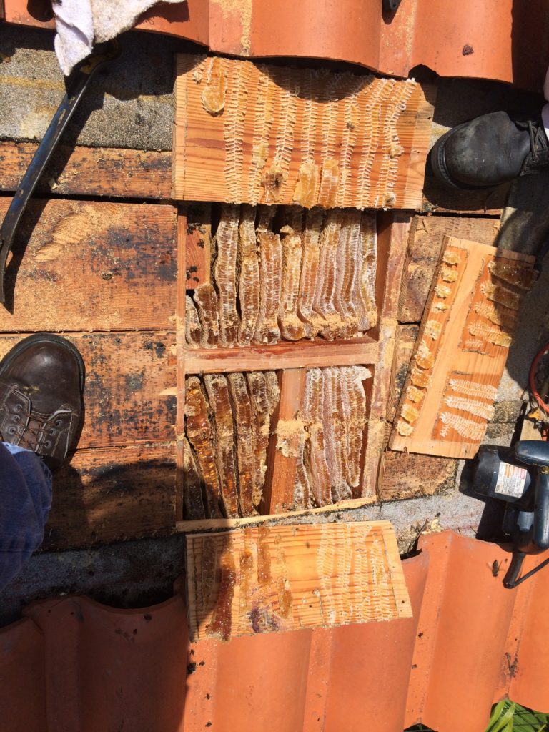 honey inside wooden box board