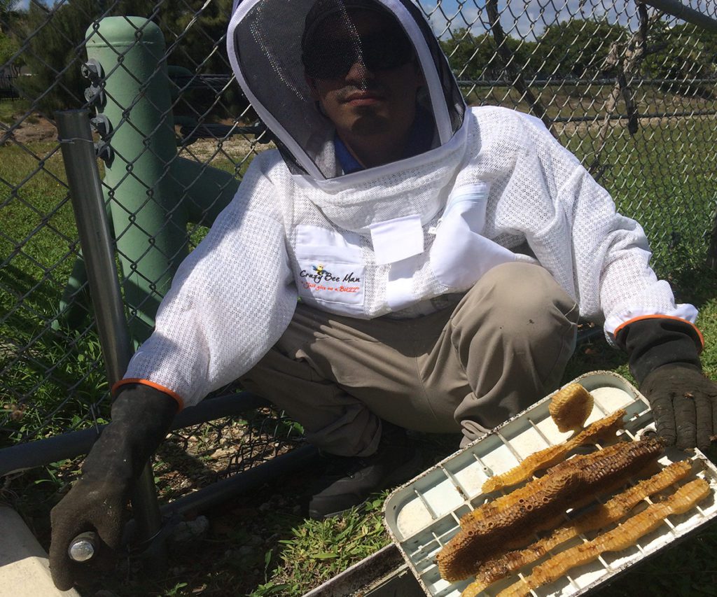 man with a hive protector holding a honey bee