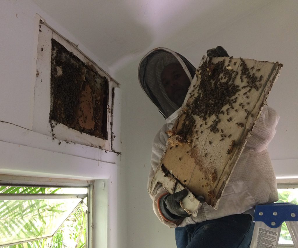 man holding a board of wood with a bee on it