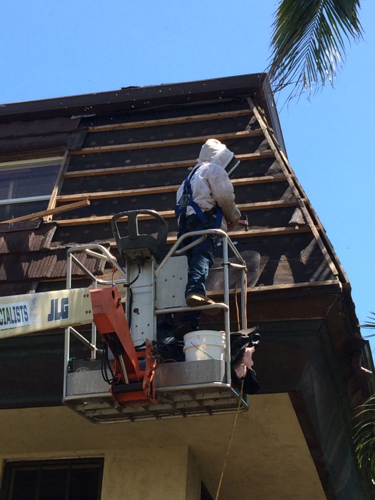 man climbing and getting the bee hive