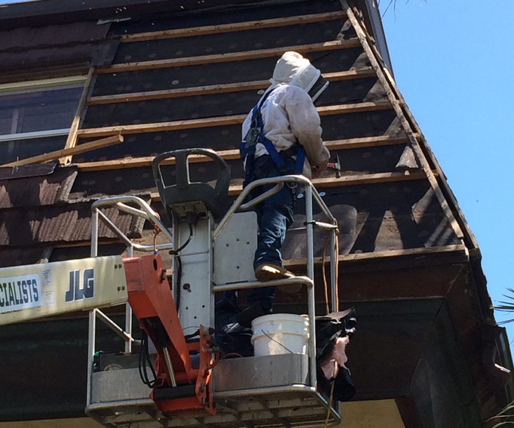 man climbing and getting the bee hive