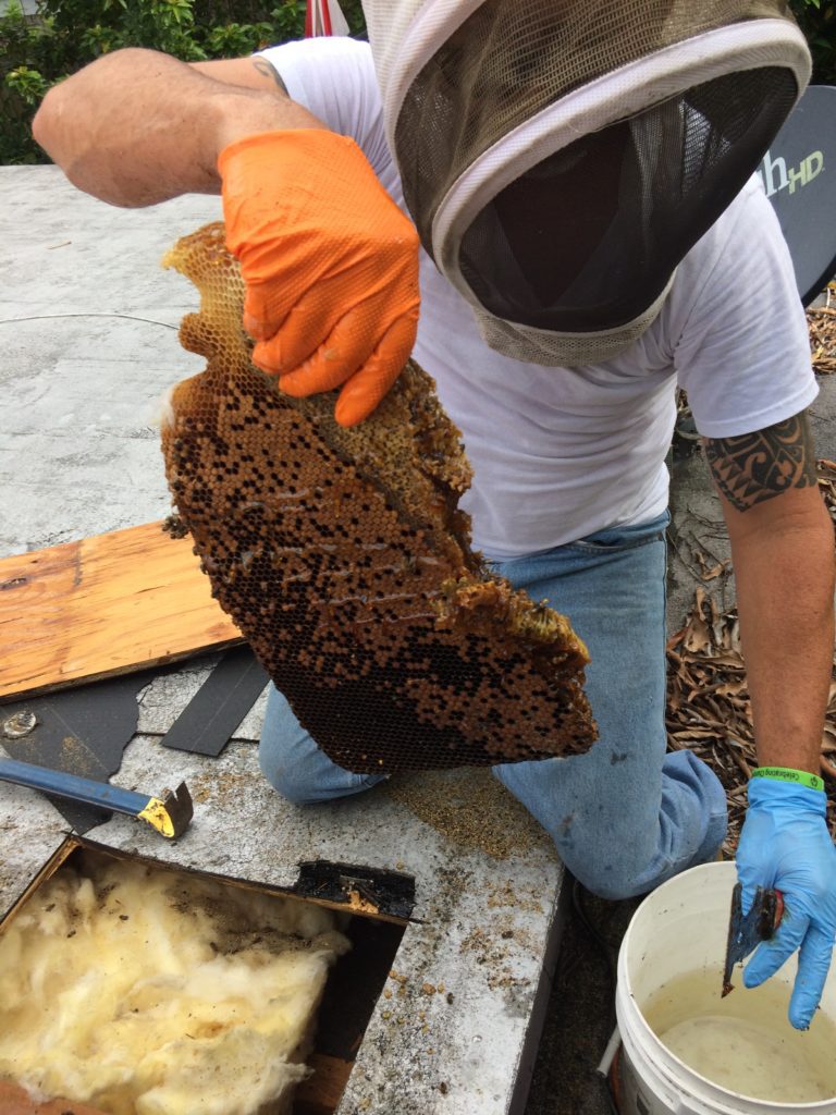 a man holding a bee hive