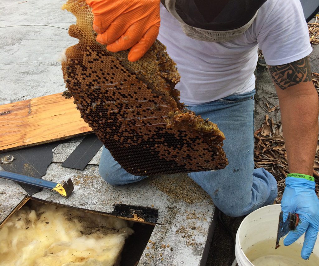 a man holding a bee hive