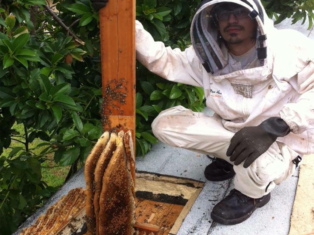 a man with a hive protector seat beside a bee house
